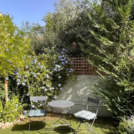 Aura Garden *